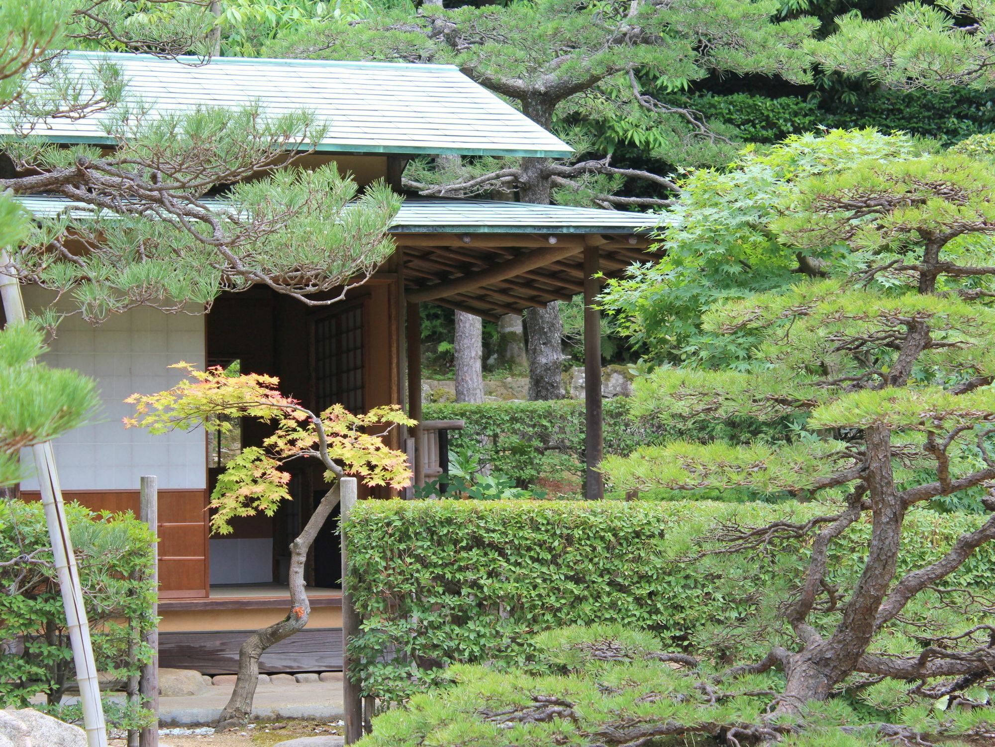 Hotel Gyokusen Matsue Exteriör bild